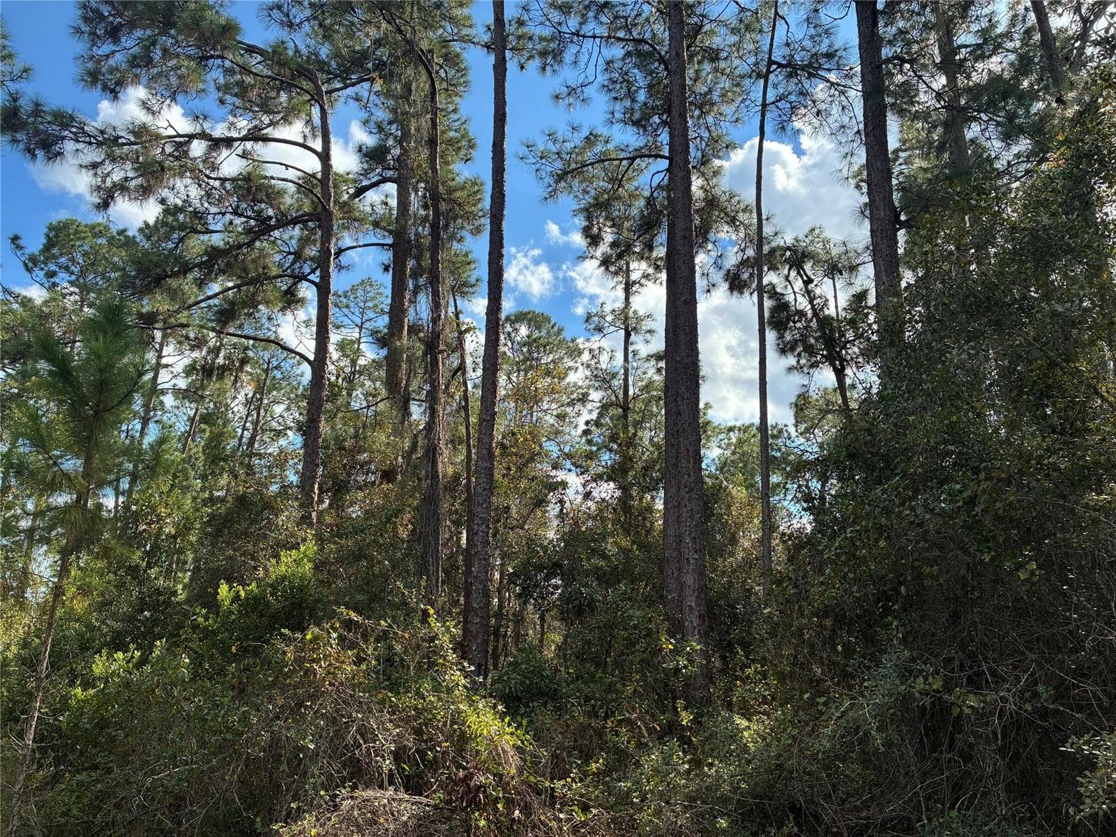 Lot 15 Park Avenue, FL 33855