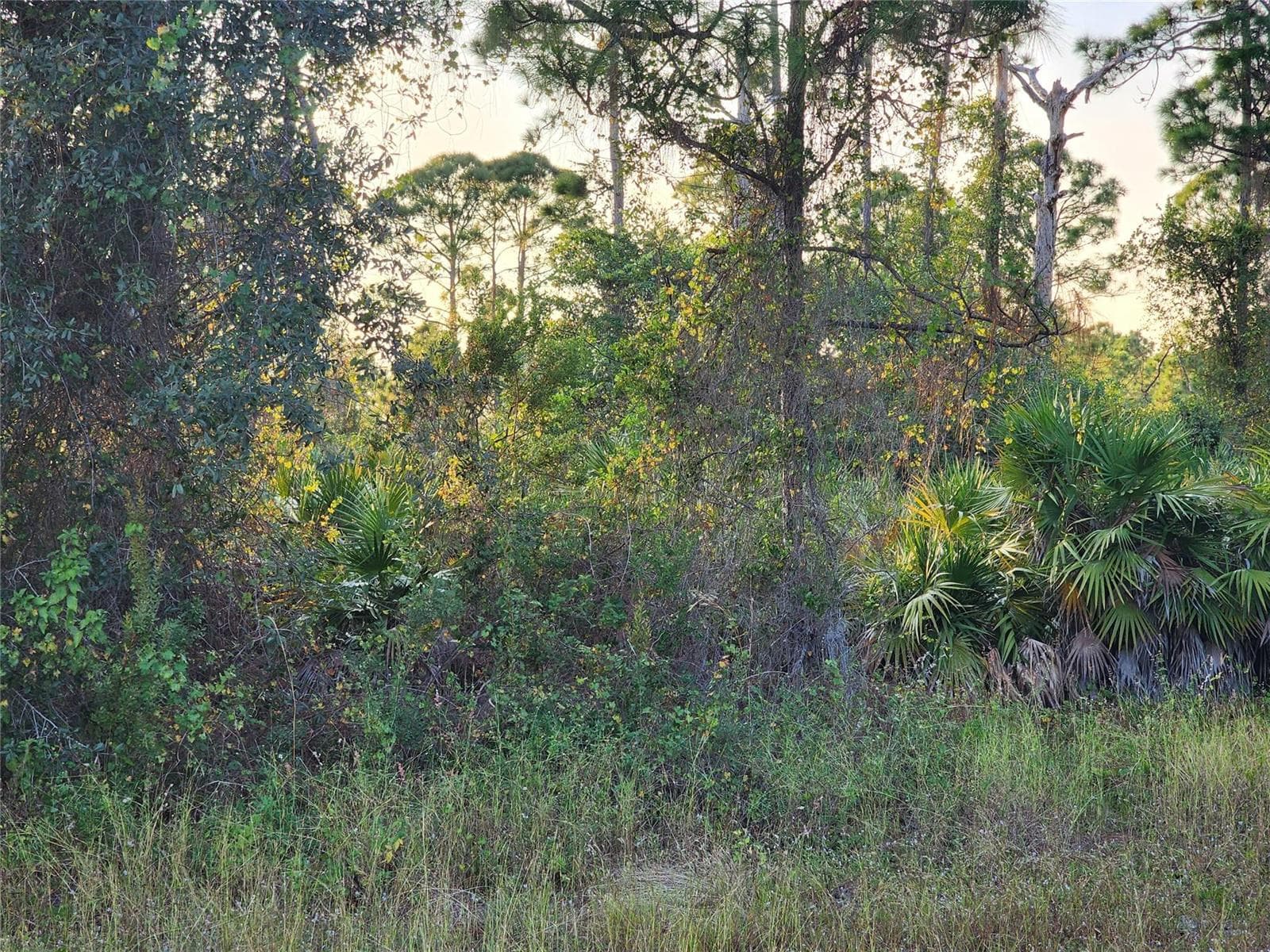 842 Genoa Avenue, Lehigh Acres FL 33974