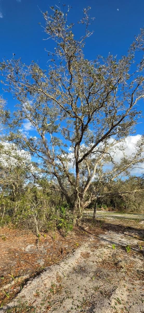 18678 NW 284 st, Okeechobee FL 34972