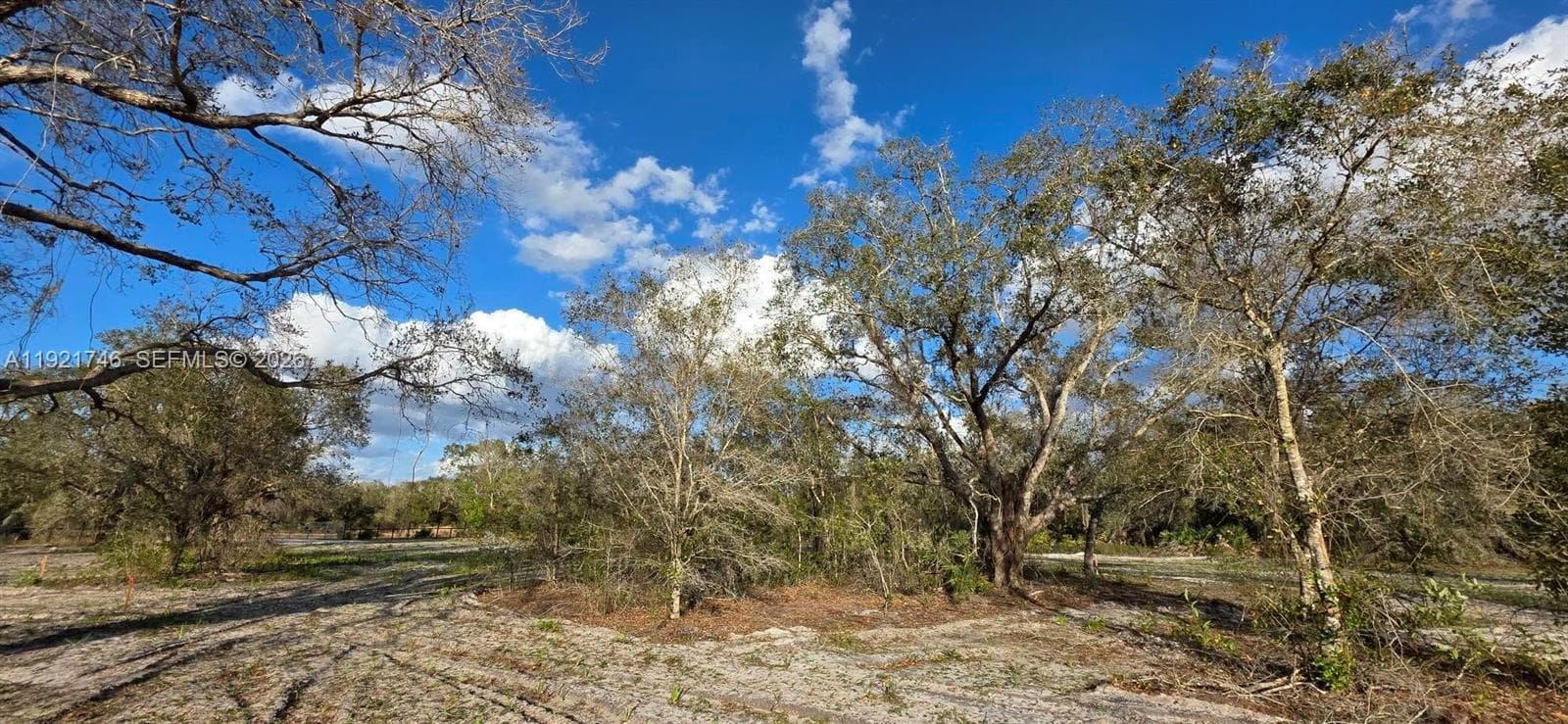 18678 NW 284 st, Okeechobee FL 34972