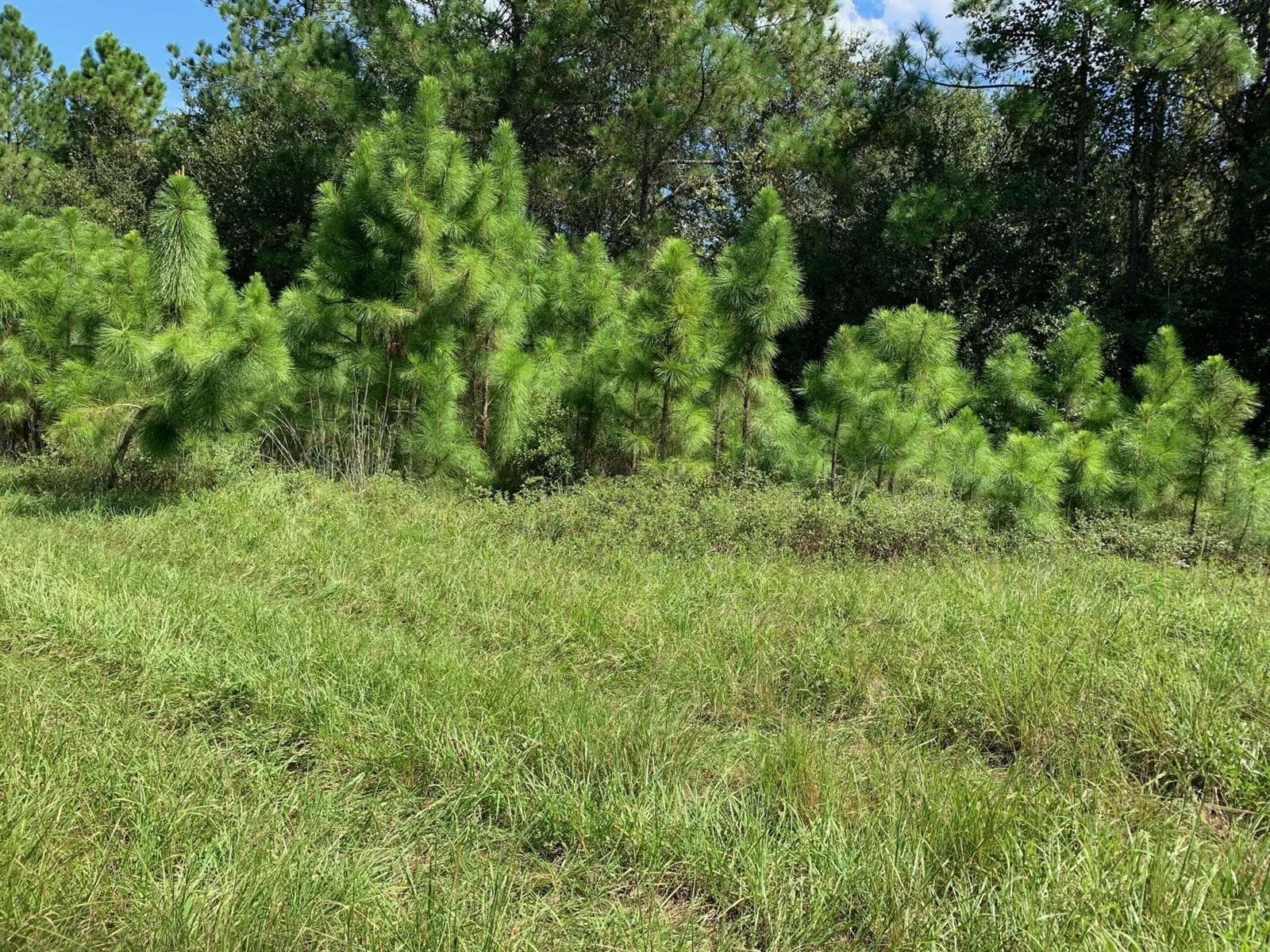 0 Old Grade Road, FL 33868