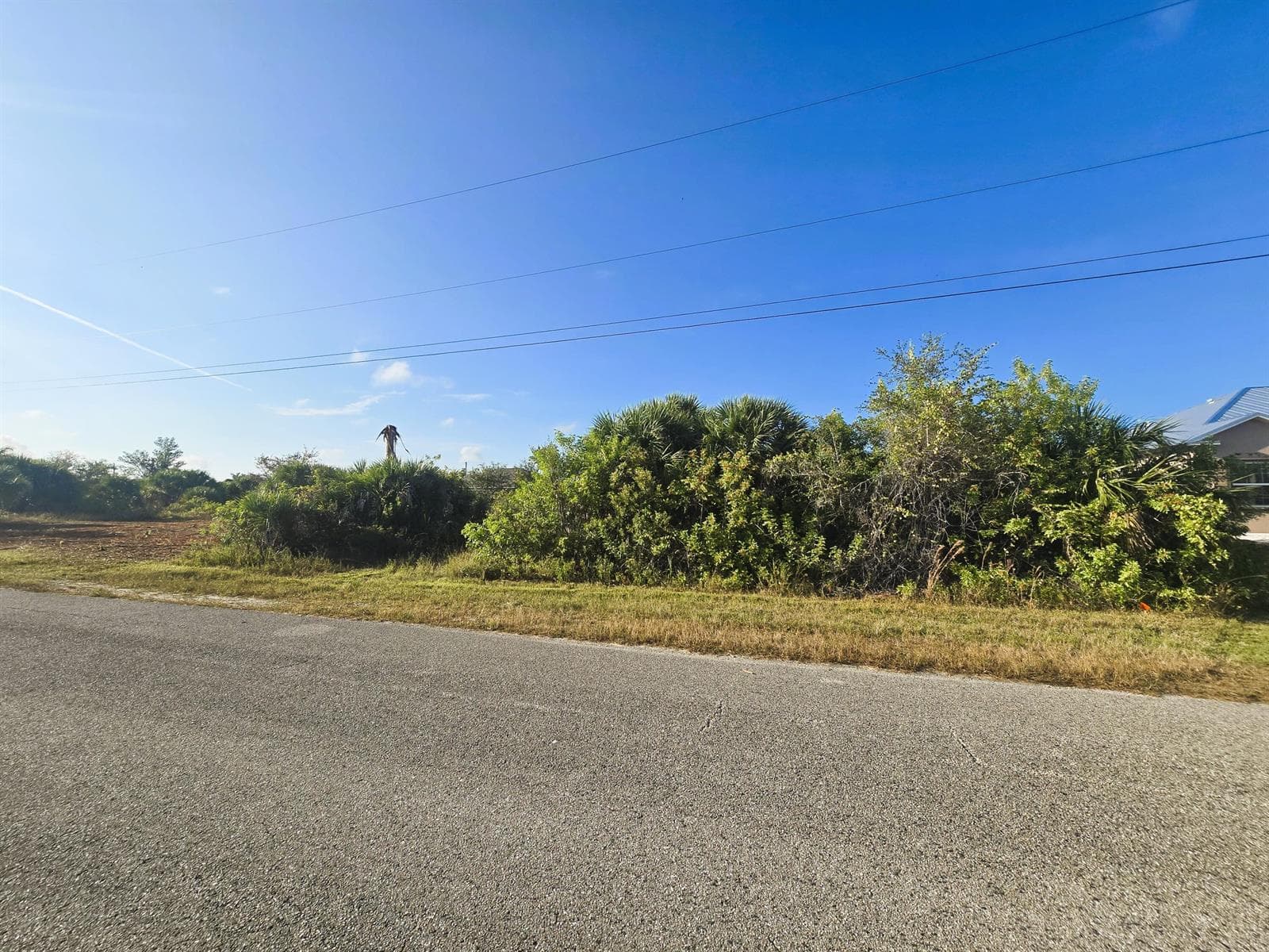 Front Land