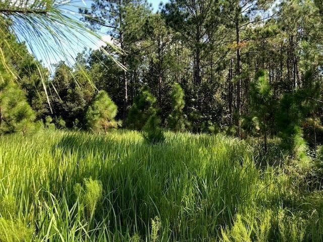 0 Old Grade Road, FL 33868