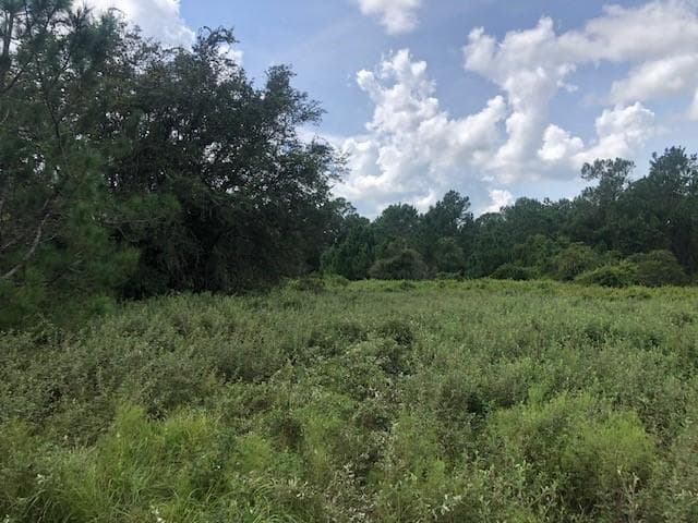 0 Old Grade Road, FL 33868