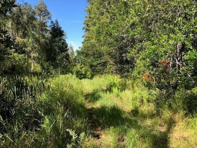 0 Old Grade Road, FL 33868