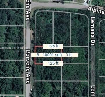 1000 PORCHE, Sebring FL 33872
