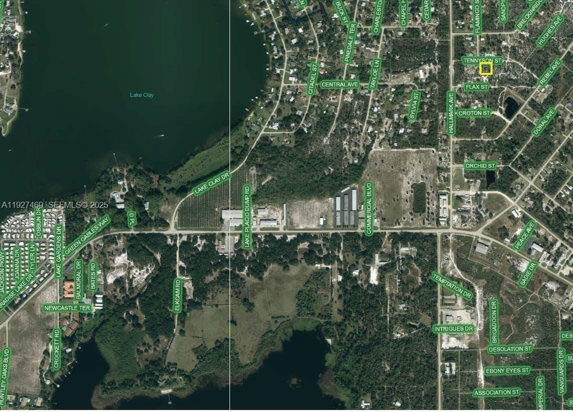 1013 Tennyson st., Lake Placid FL 33852