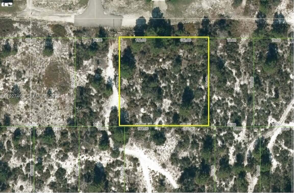 1013 Tennyson st., Lake Placid FL 33852