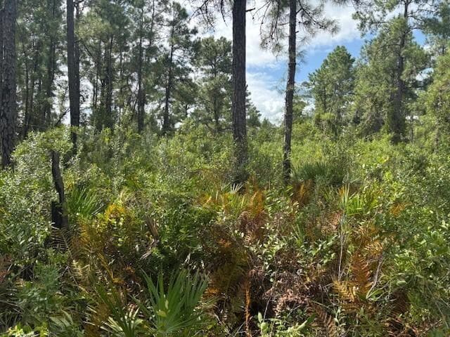 0 Hwy 630e, Frostproof FL 33843