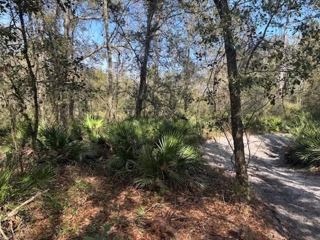 0 County Rd 54, FL 33849
