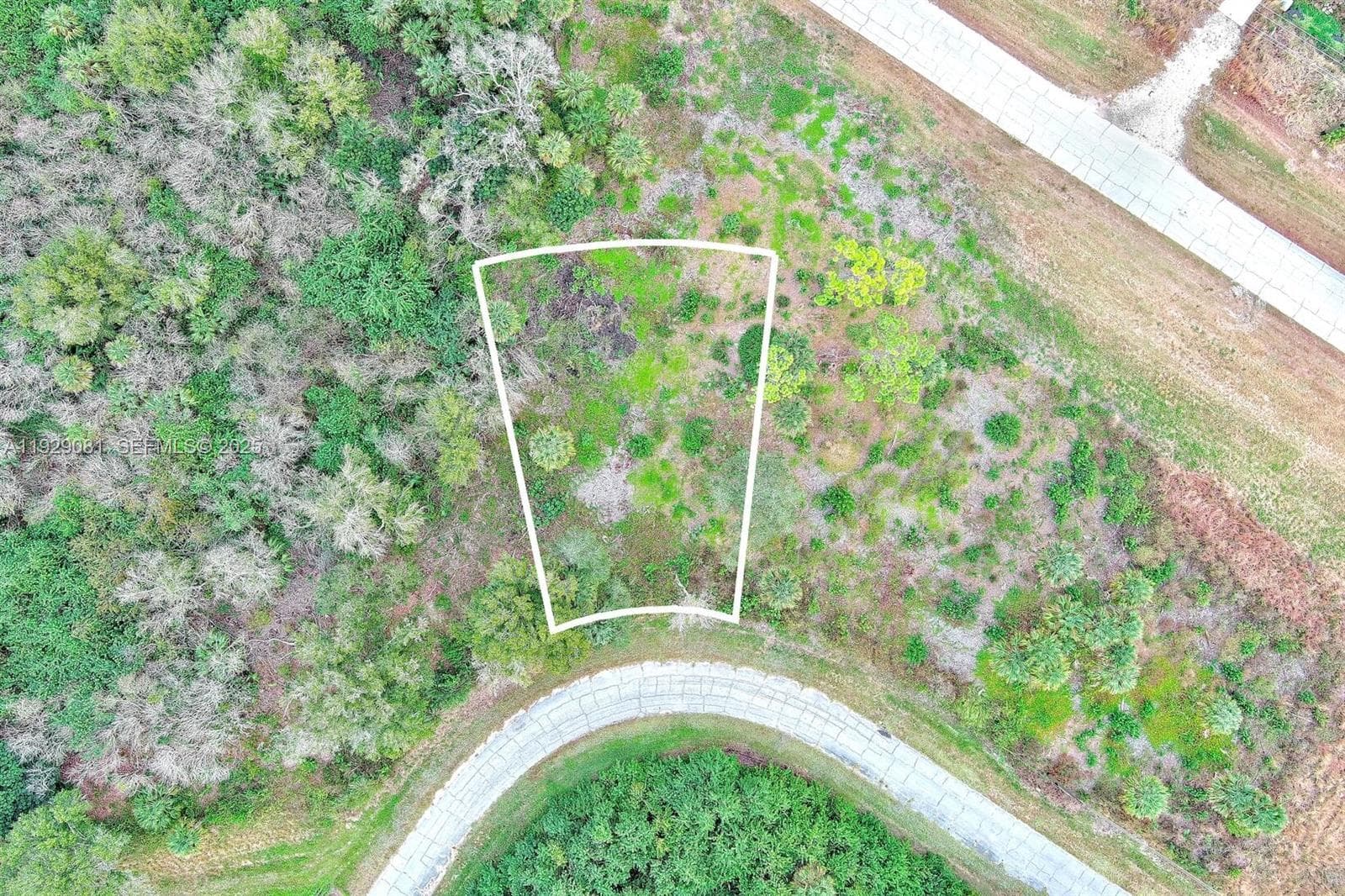 171 CAROUSEL AVE, La Belle FL 33935