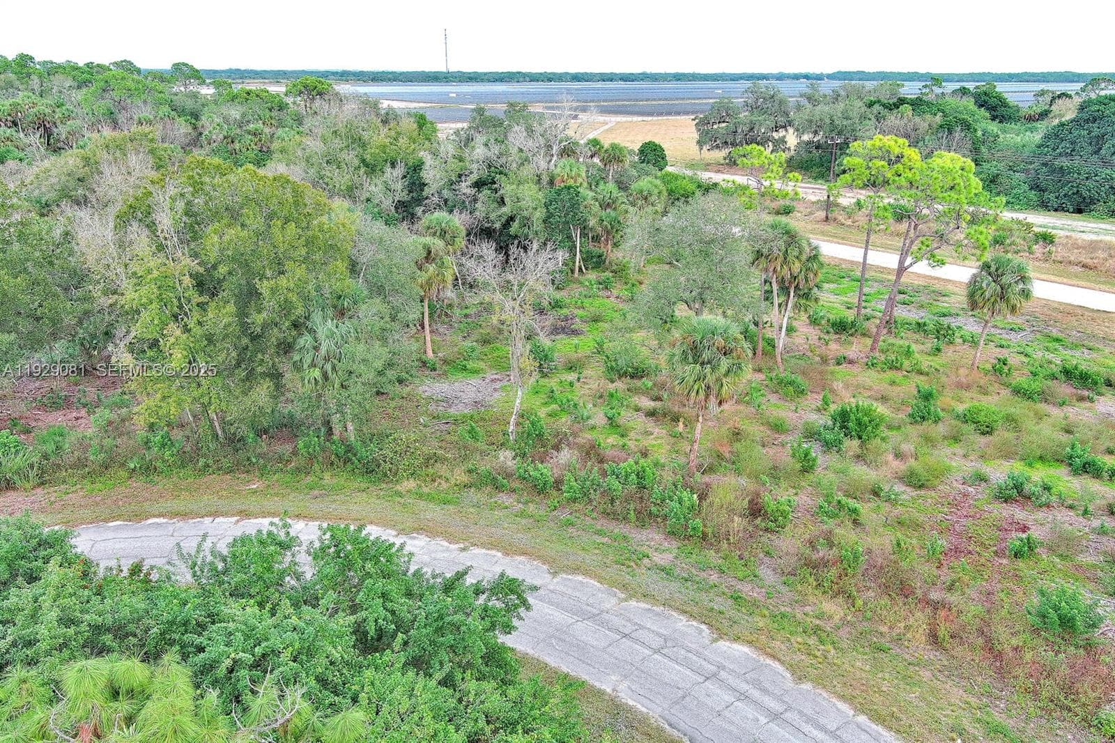 171 CAROUSEL AVE, La Belle FL 33935