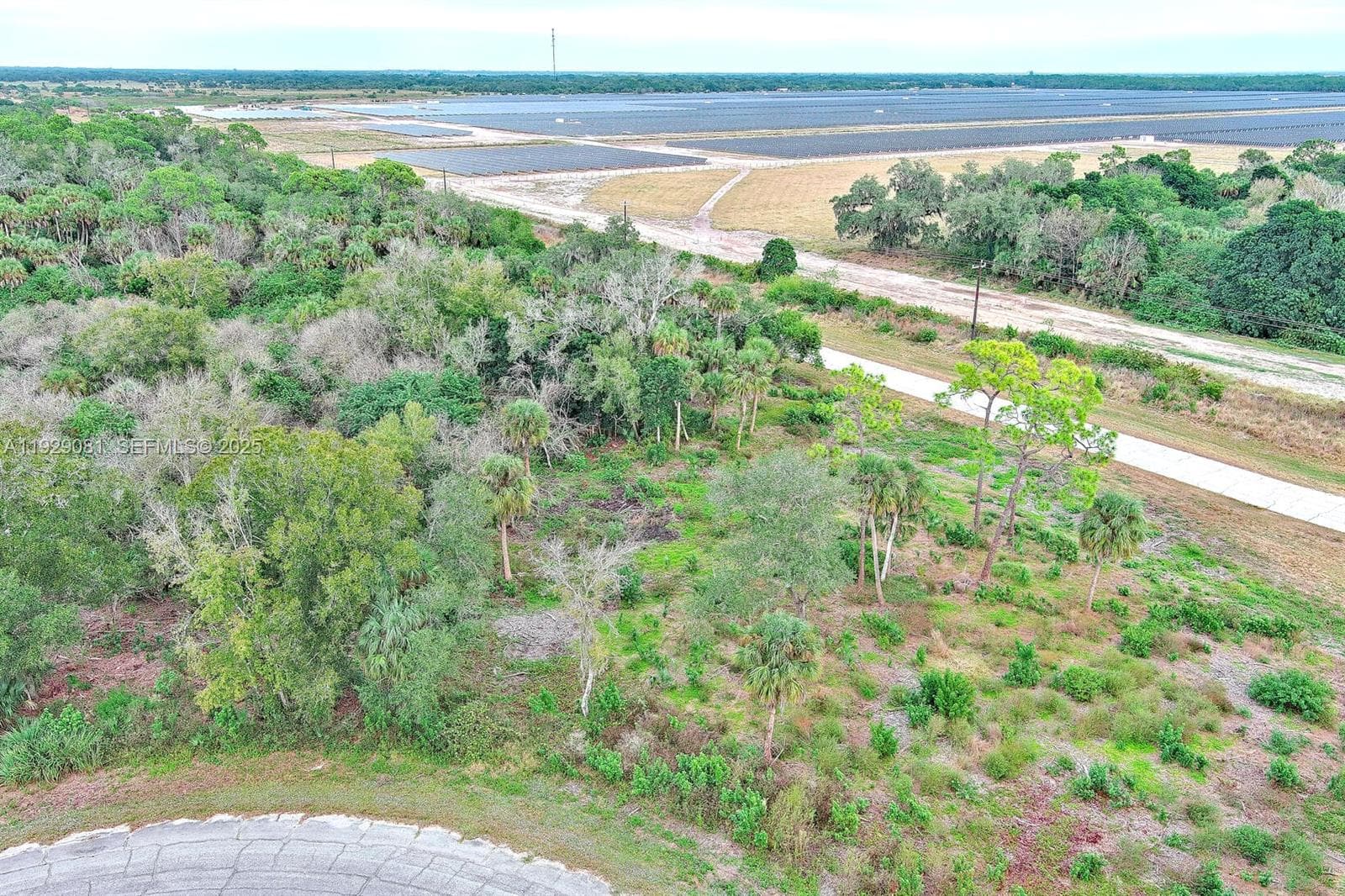171 CAROUSEL AVE, La Belle FL 33935