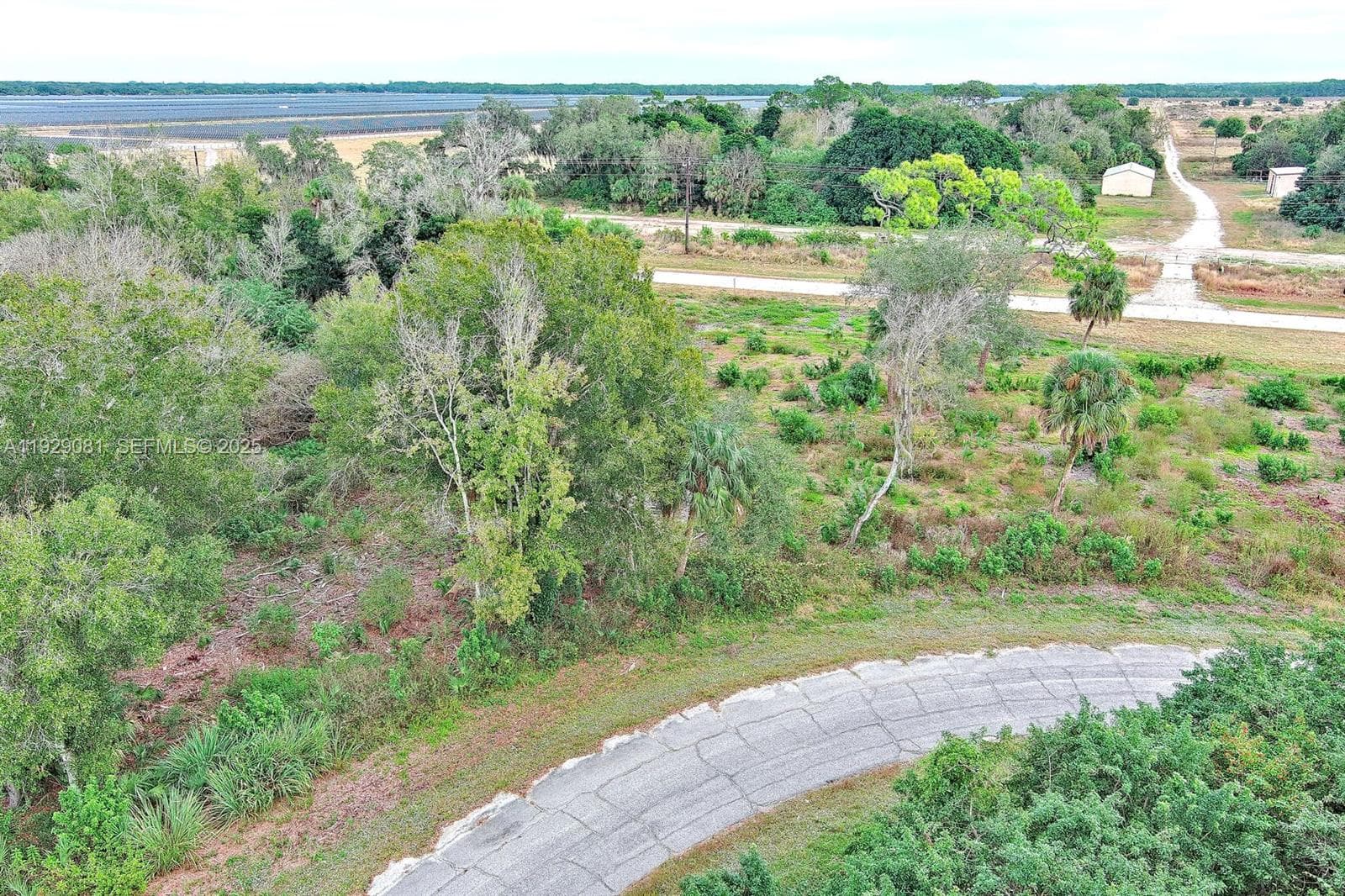 171 CAROUSEL AVE, La Belle FL 33935