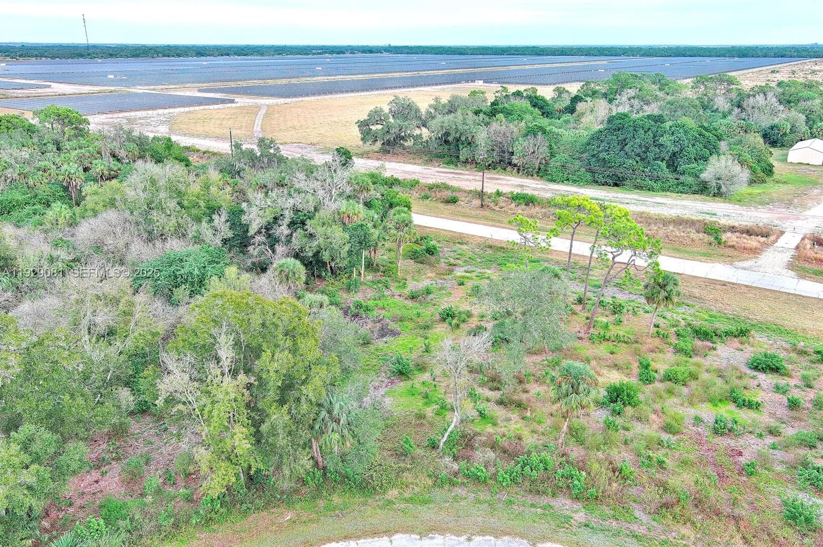 171 CAROUSEL AVE, La Belle FL 33935