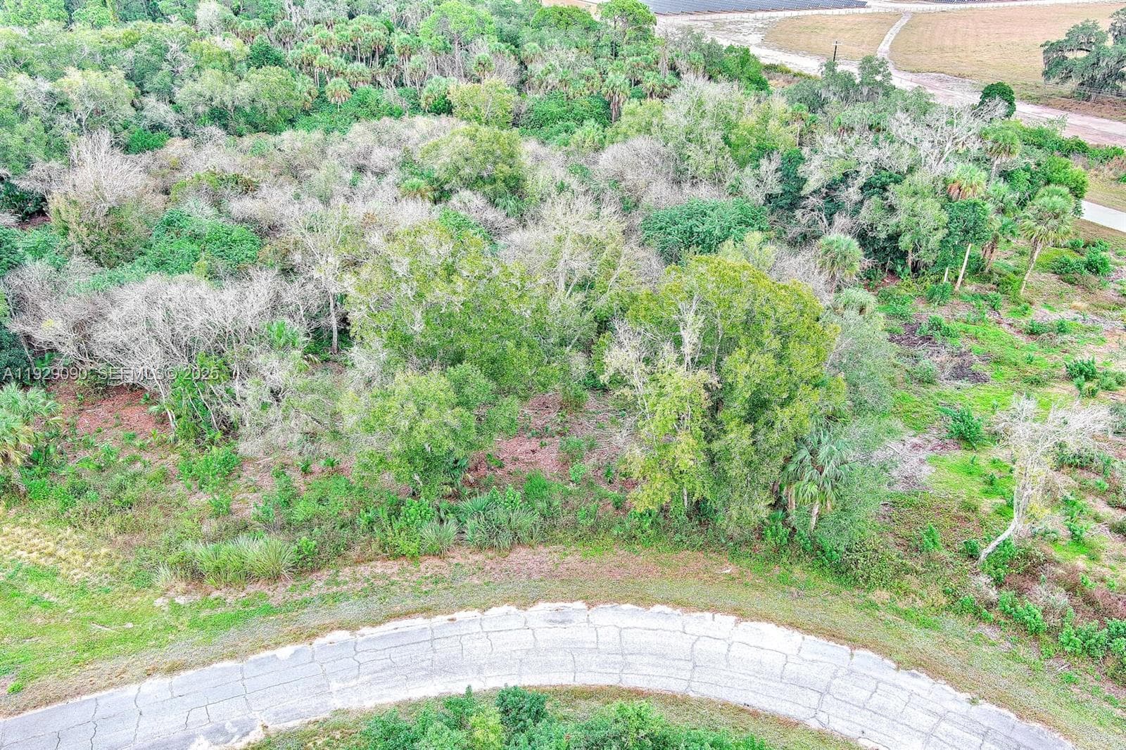 173 CAROUSEL AVE, La Belle FL 33935