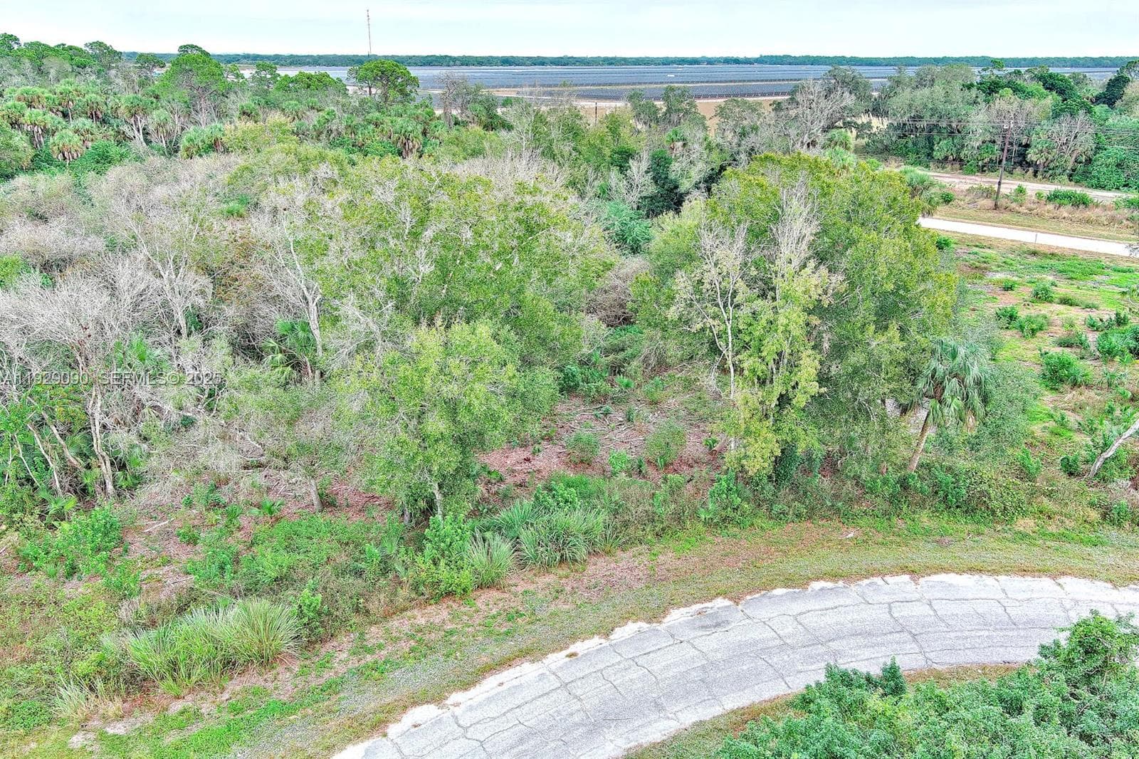 173 CAROUSEL AVE, La Belle FL 33935