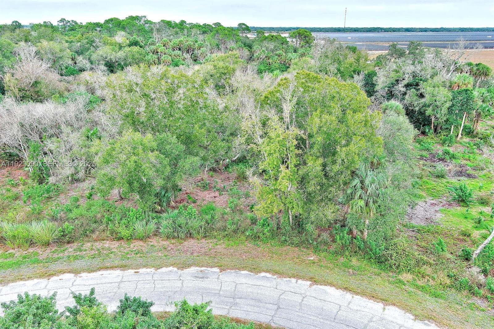 173 CAROUSEL AVE, La Belle FL 33935