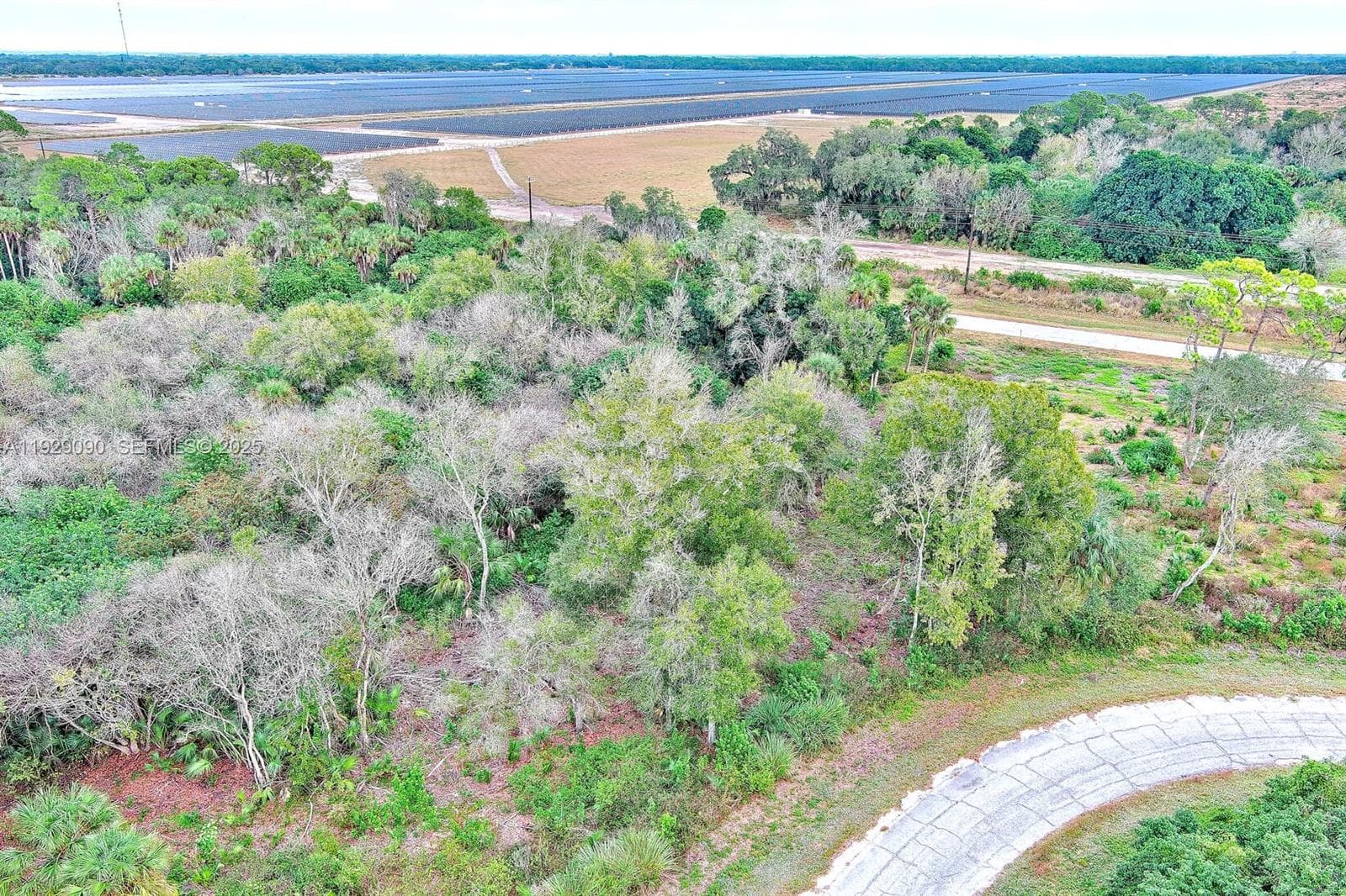 173 CAROUSEL AVE, La Belle FL 33935