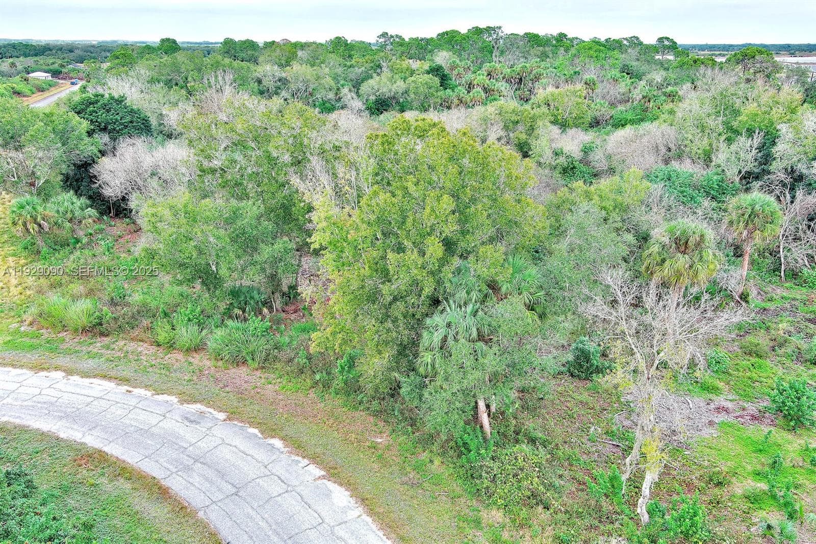 173 CAROUSEL AVE, La Belle FL 33935