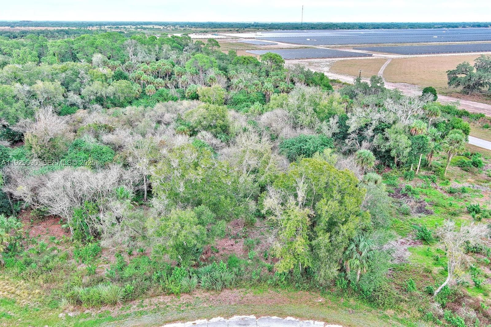 173 CAROUSEL AVE, La Belle FL 33935