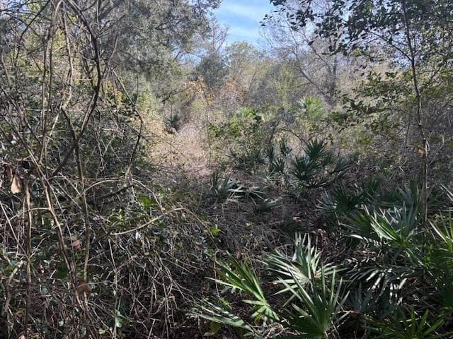0 County Rd 54, FL 33849