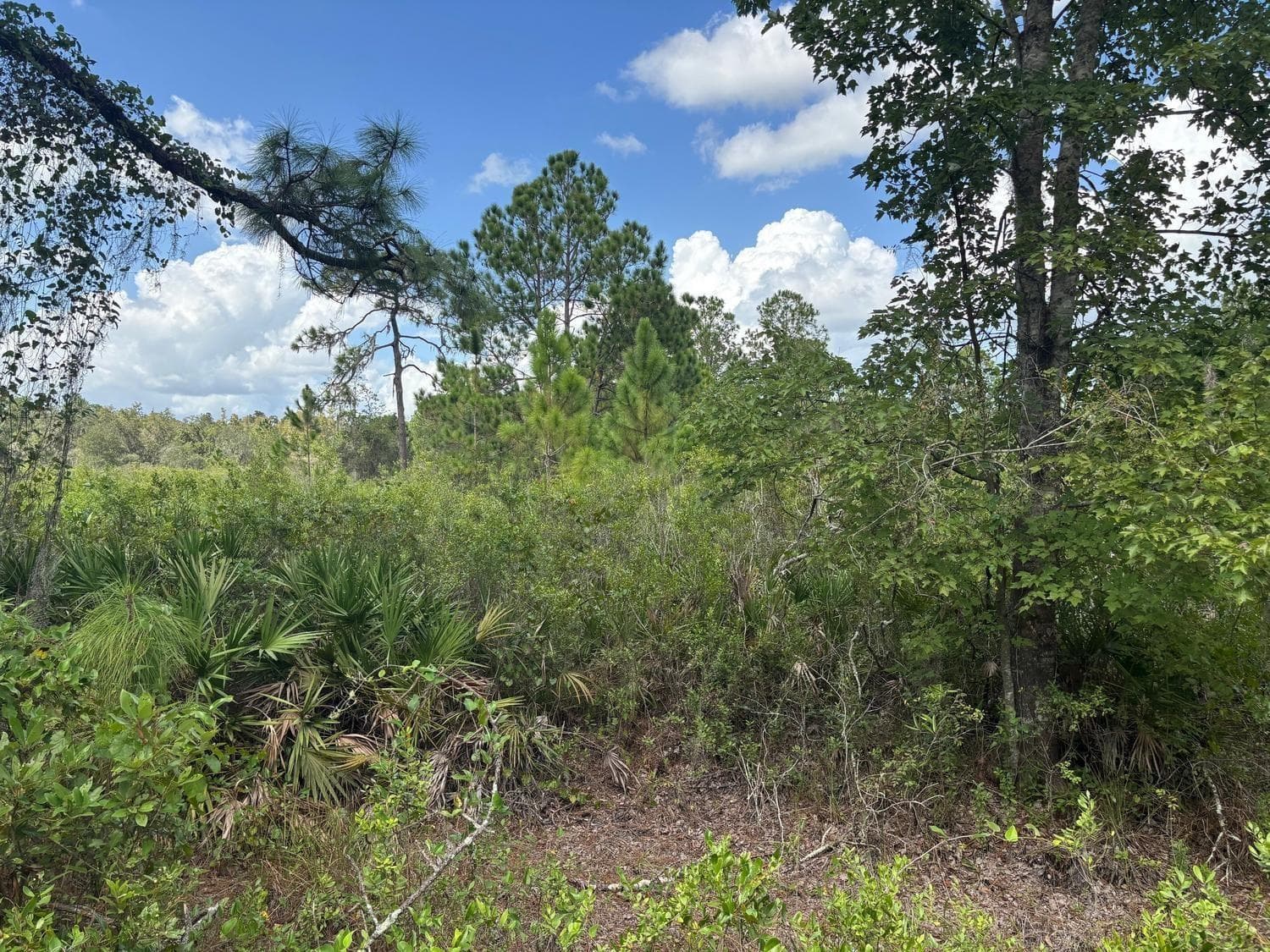 0 County Rd 54, FL 33849