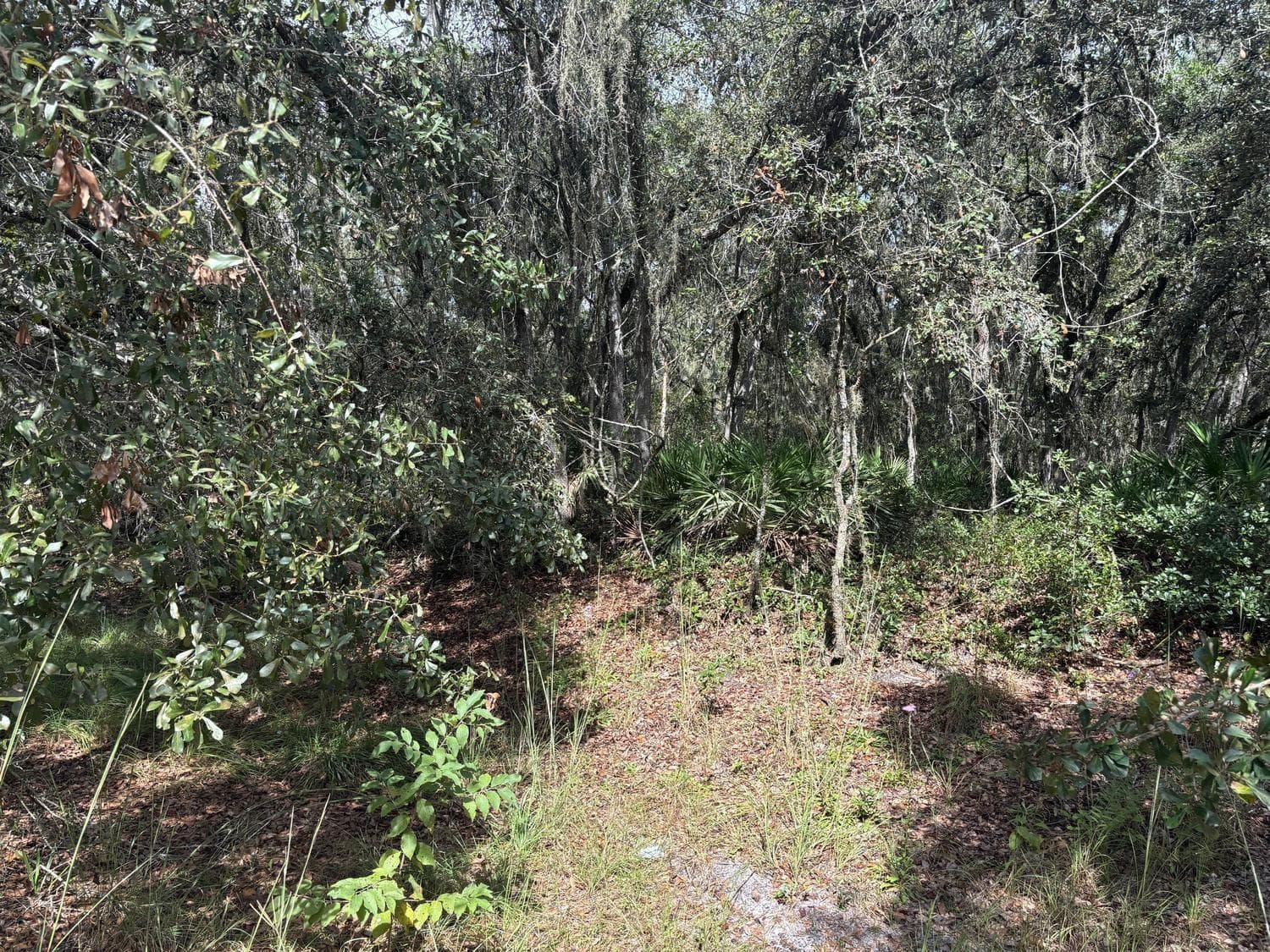 0 County Rd 54, FL 33849