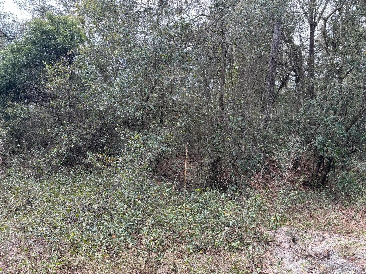 0 County Rd 54, FL 33849