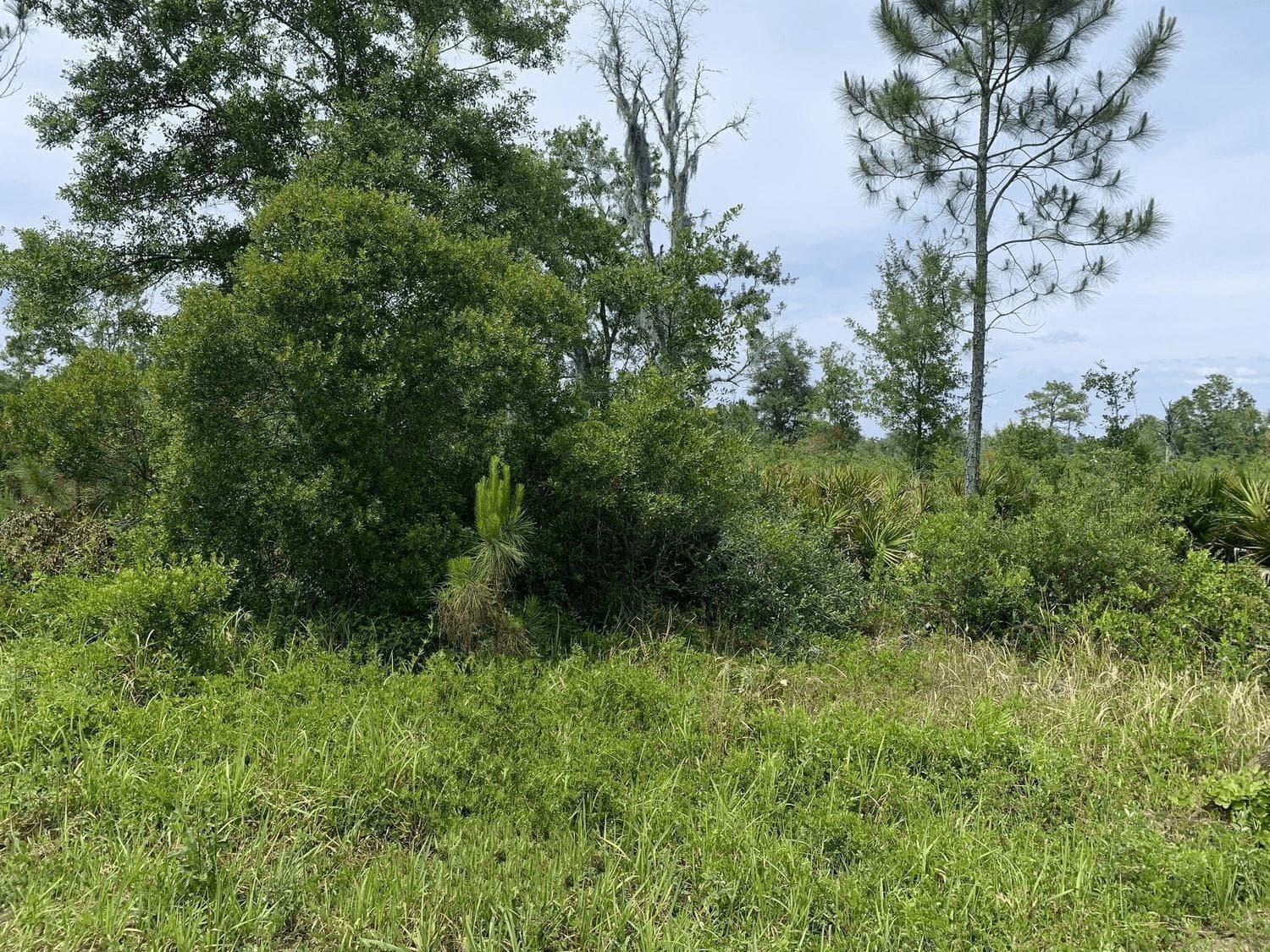 0 County Rd 54, FL 33849