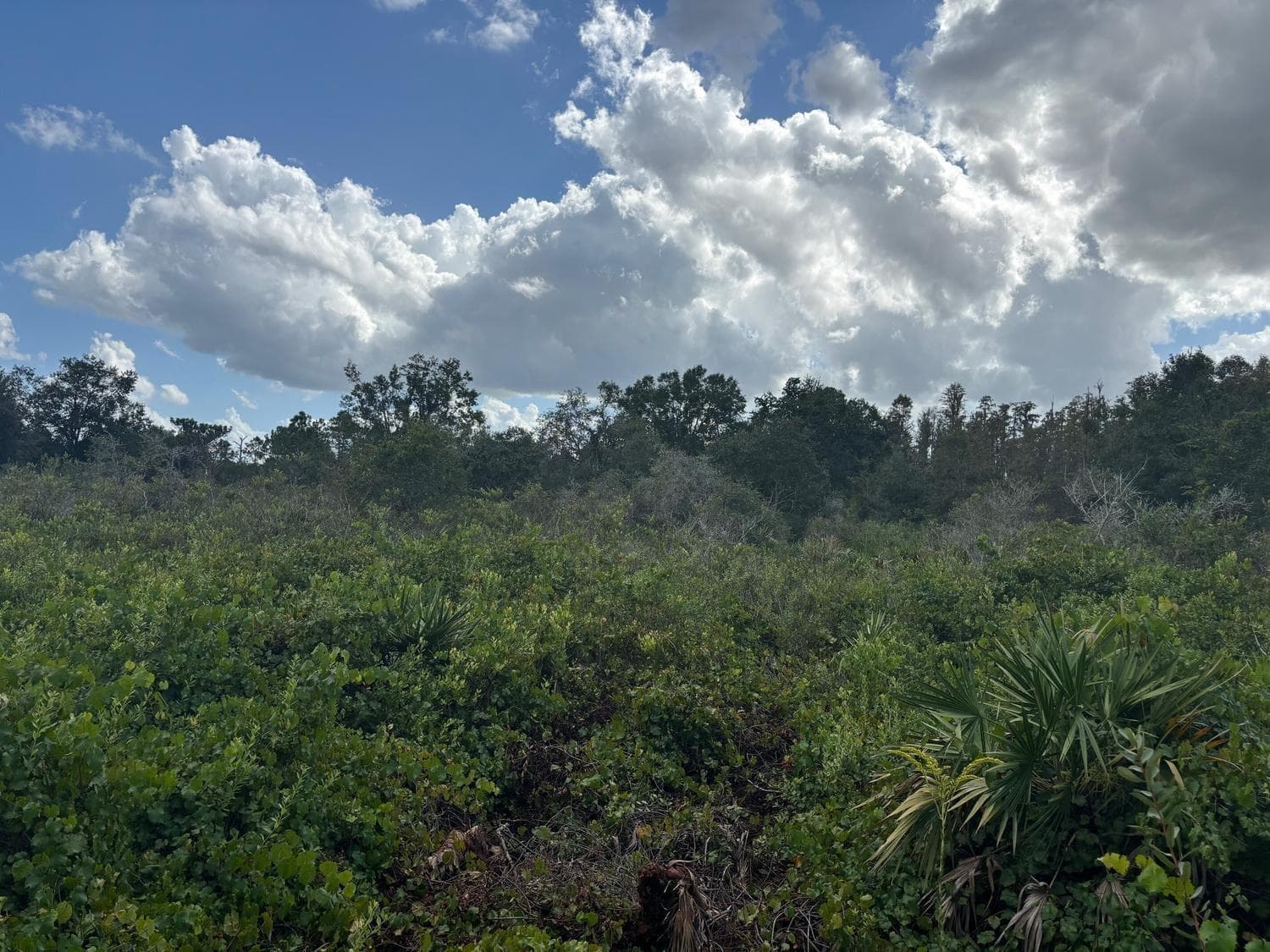 0 County Rd 54, FL 33849