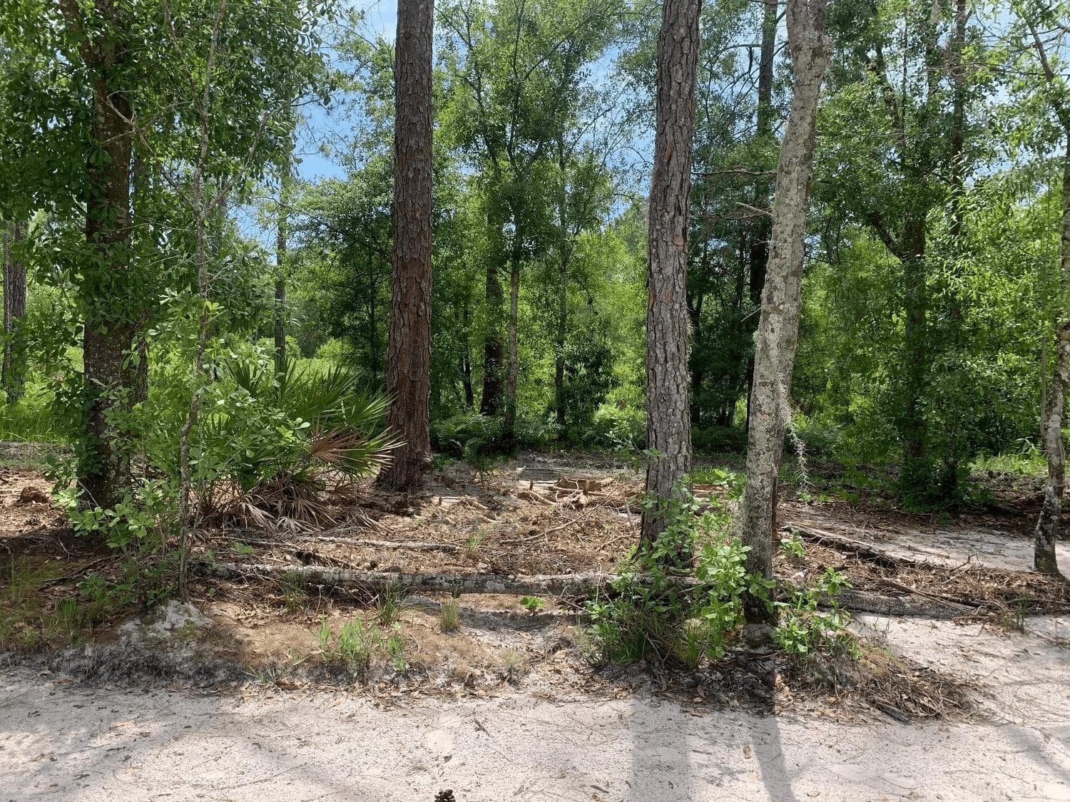 0 County Rd 54, FL 33849
