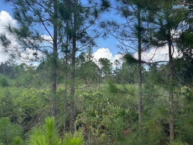 0 County Rd 54, FL 33849