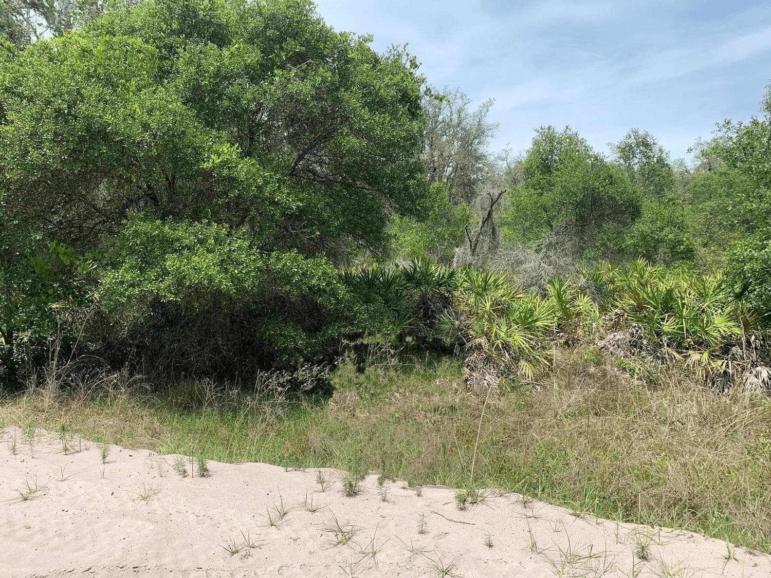 0 County Rd 54, FL 33849