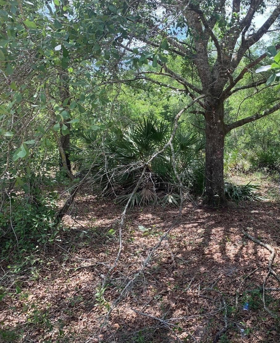0 County Rd 54, FL 33849