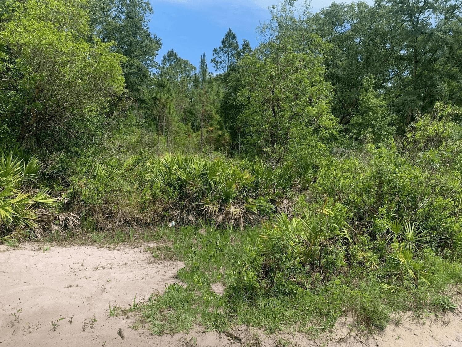 0 County Rd 54, FL 33849