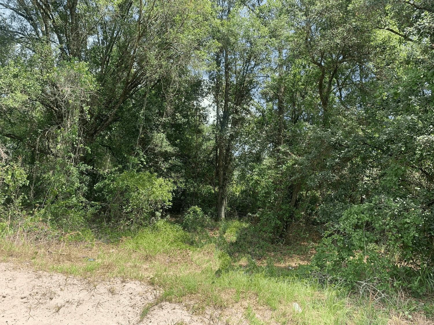 0 County Rd 54, FL 33849