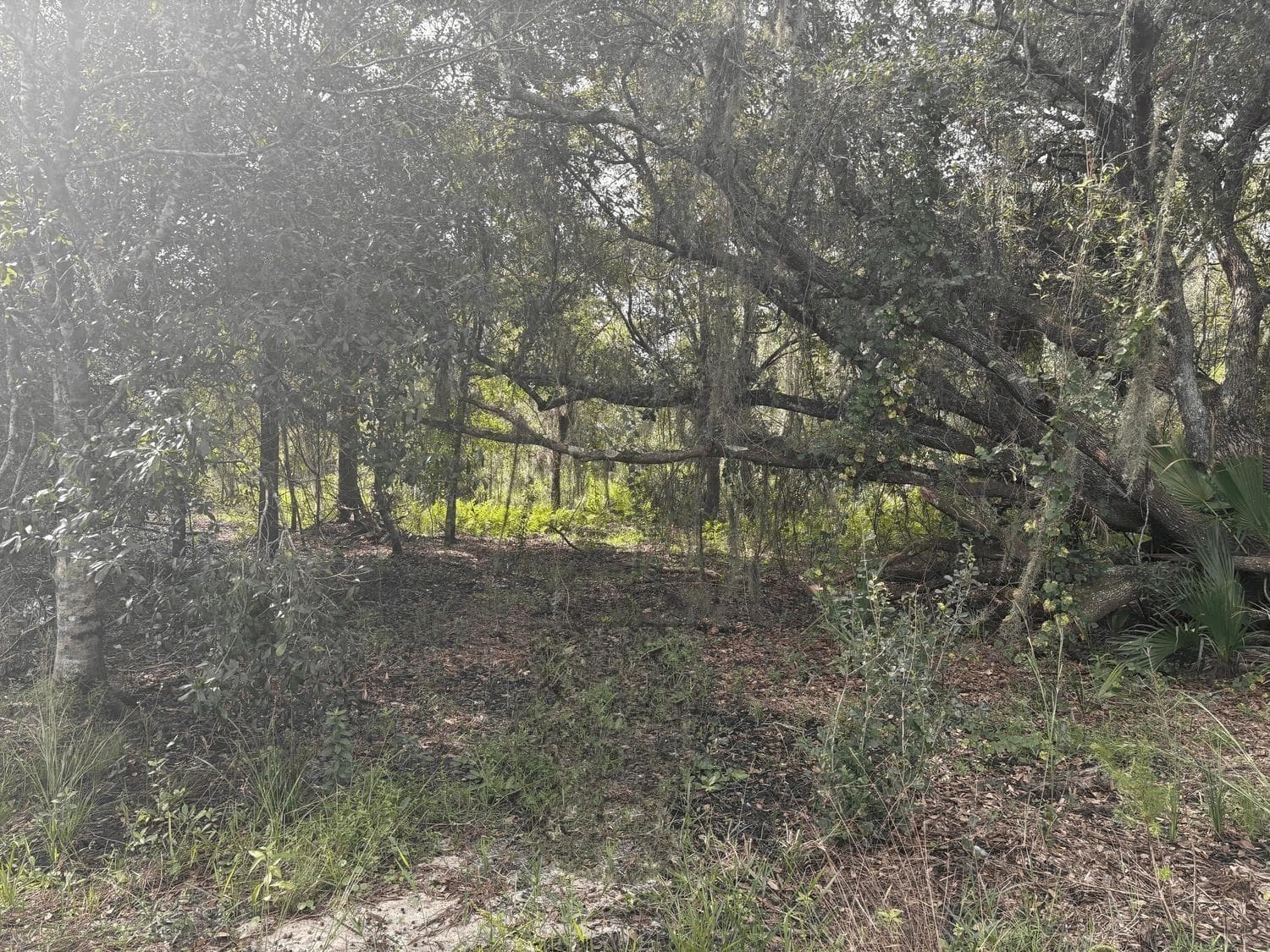 0 NW 304th Street, Okeechobee FL 34972