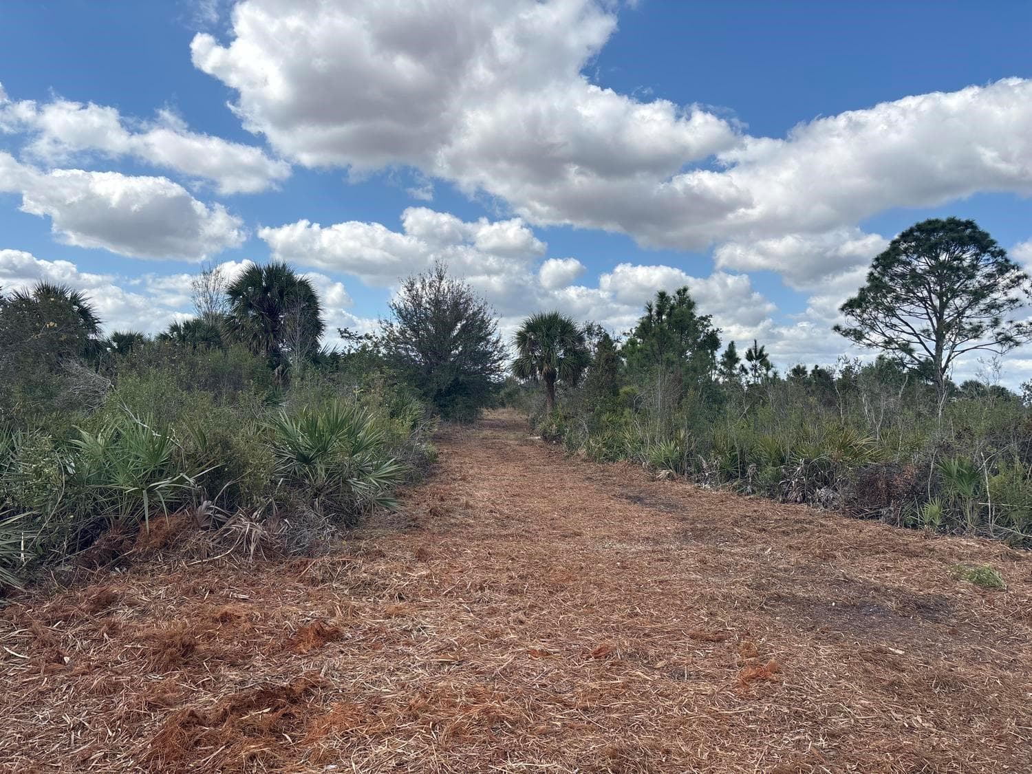 0 NW 302nd Street, Okeechobee FL 34972