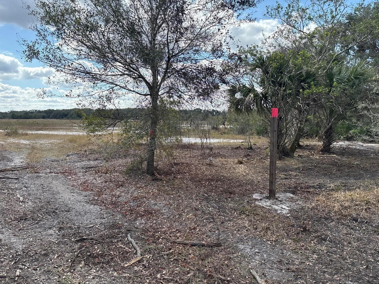 0 298th Street, Okeechobee FL 34972