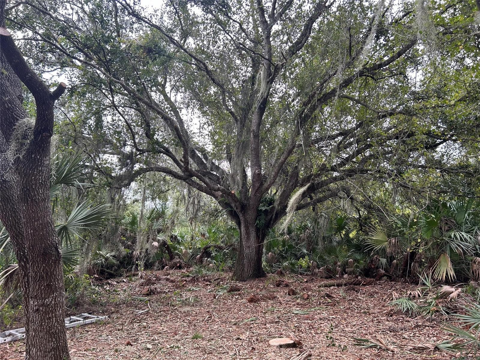 0 298th Street, Okeechobee FL 34972