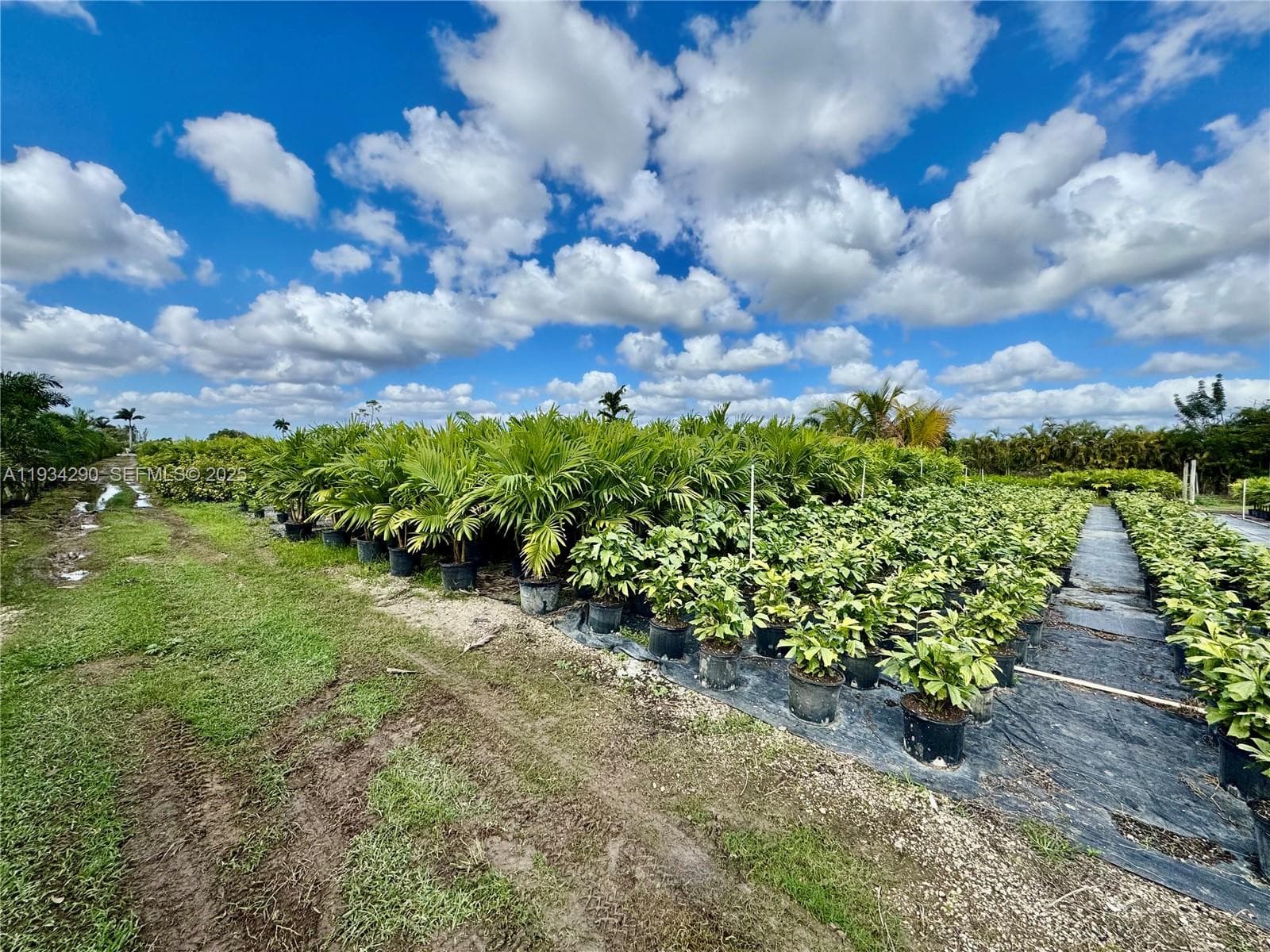 32800 SW 202nd Ave, Homestead FL 33034