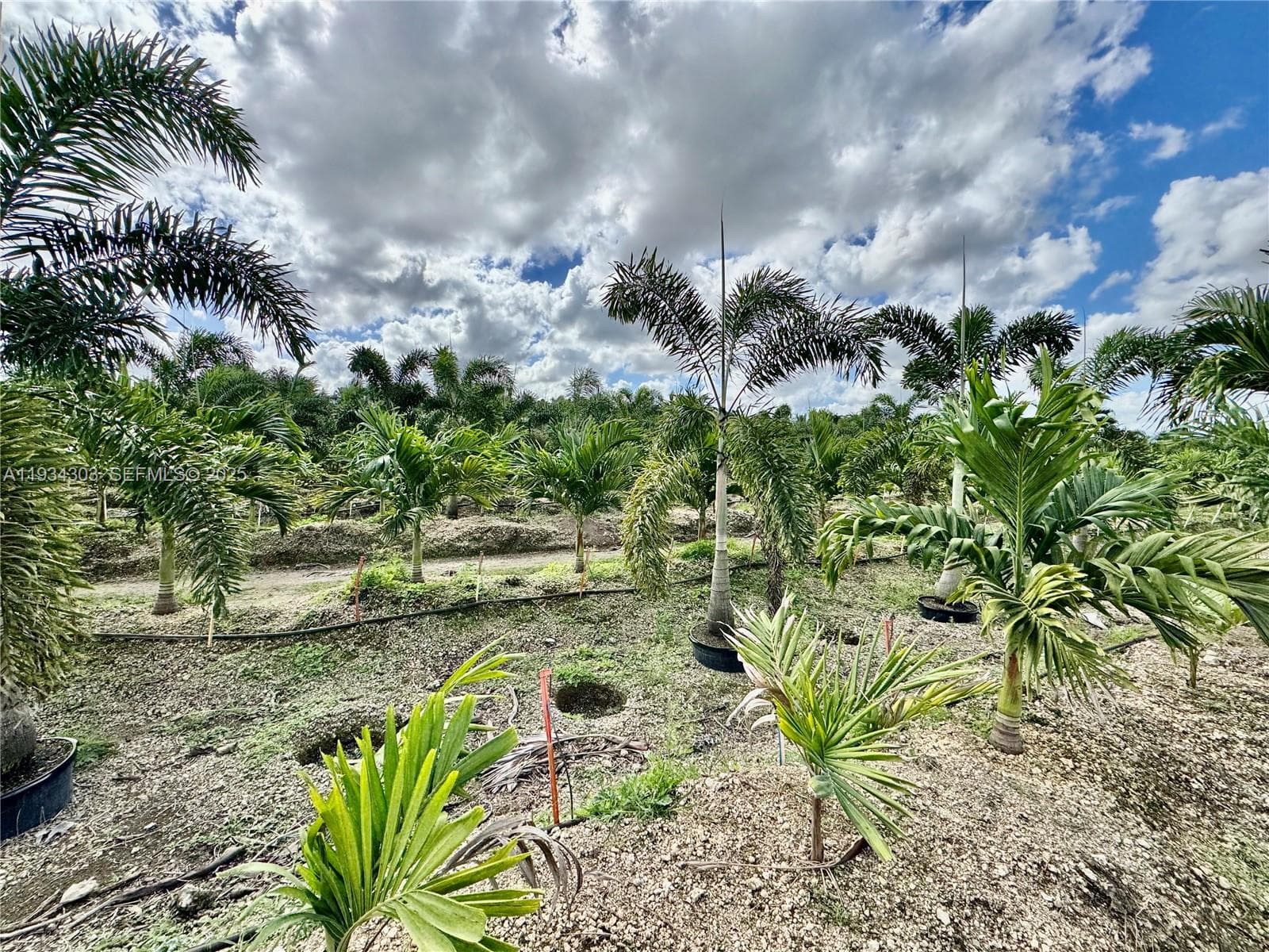 32800 SW 202nd Ave, Homestead FL 33034