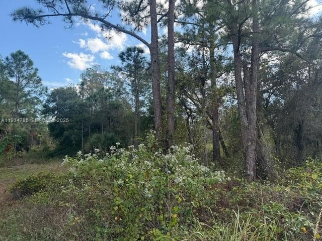 345 N ISORA, Clewiston FL 33440