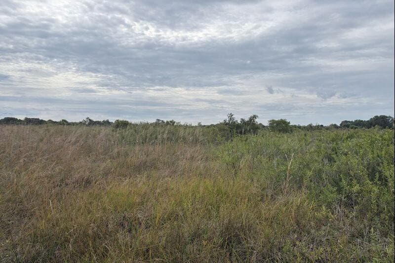 0 NW 318th Street, Okeechobee FL 34972