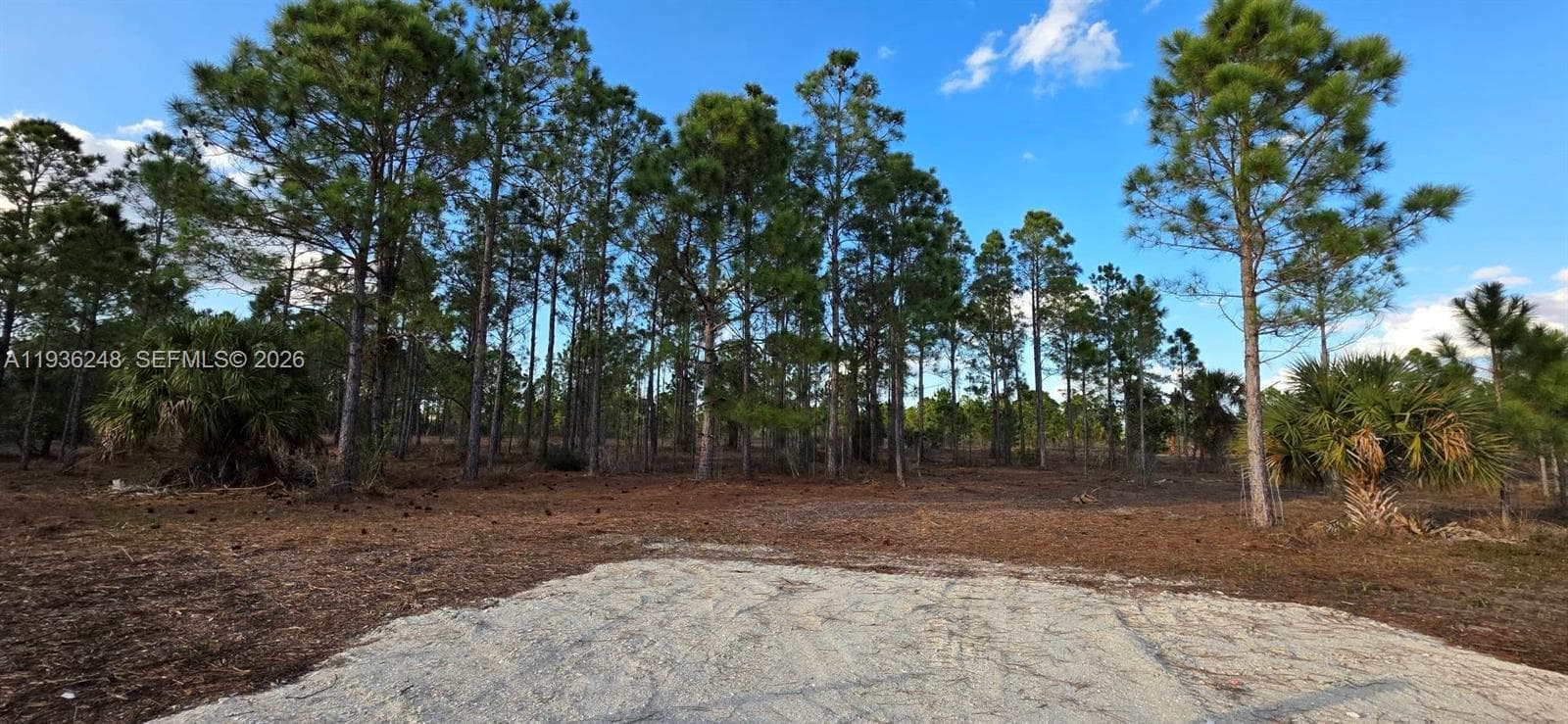 17923 NW 298 st, Okeechobee FL 34972