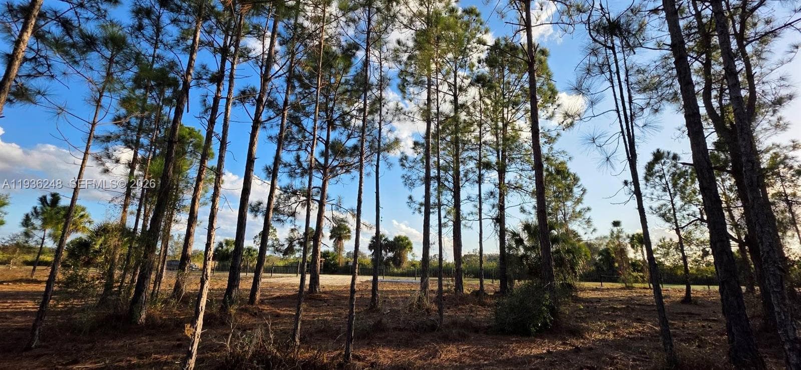 17923 NW 298 st, Okeechobee FL 34972