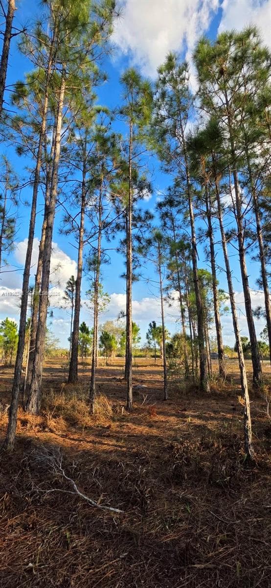 17923 NW 298 st, Okeechobee FL 34972