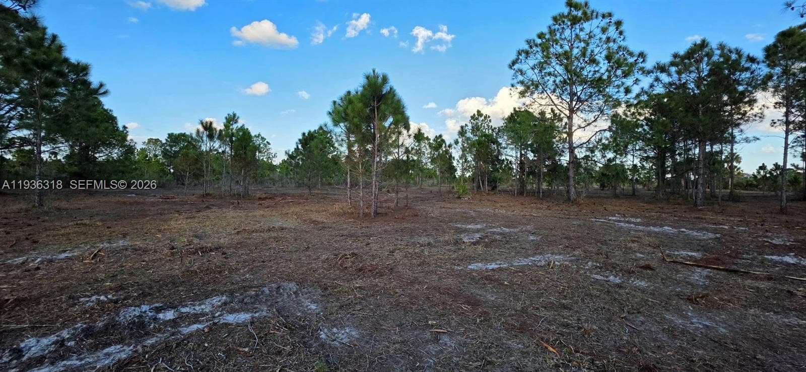 17975 NW 298 st, Okeechobee FL 34972