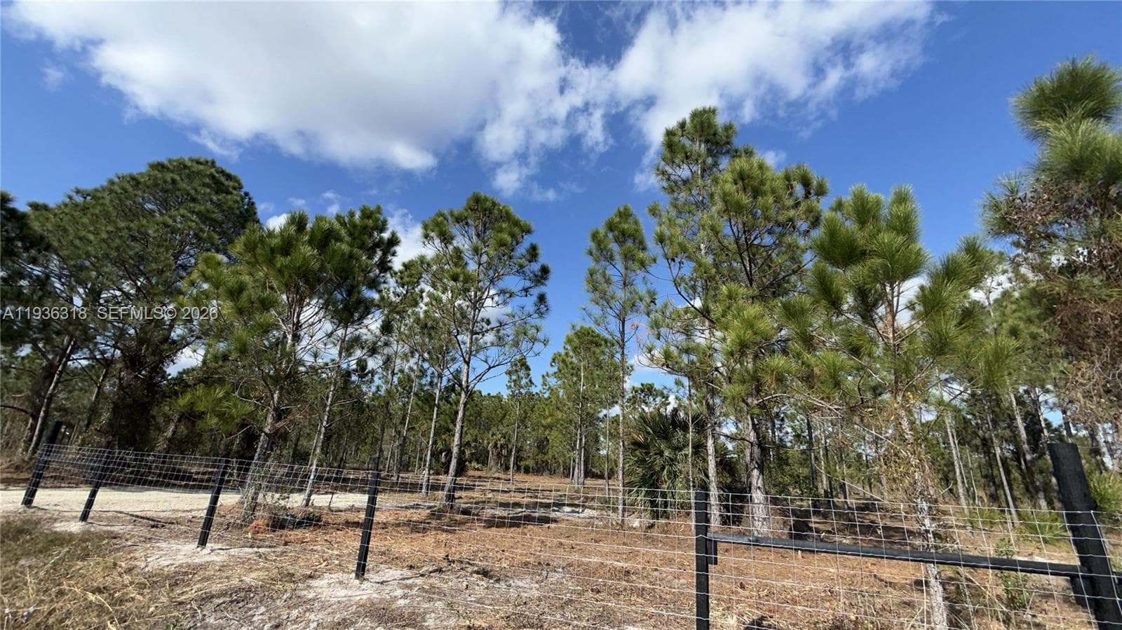 17975 NW 298 st, Okeechobee FL 34972